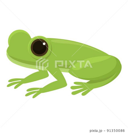 Exotic frog icon cartoon vector. Cute green. Evolution life 91350086