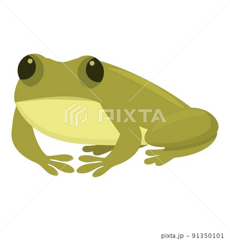 Kid frog icon cartoon vector. Cute animal. Jump baby Kid frog icon cartoon vector. Cute animal. Jump baby 91350101