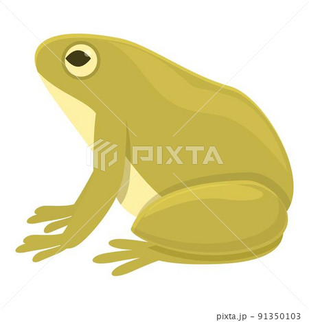 Funny frog icon cartoon vector. Animal jump. Baby smile 91350103