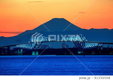 富士山を背景にした東京ゲートブリッジの舞浜からの夜景(1月) 富士山を背景にした東京ゲートブリッジの舞浜からの夜景(1月) 91350508