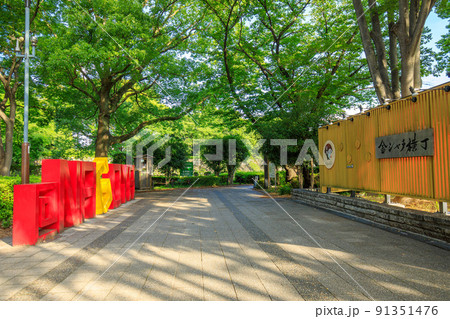 名古屋市 名古屋城金シャチ横丁の都市名モニュメント 名古屋市 名古屋城金シャチ横丁の都市名モニュメント 91351476