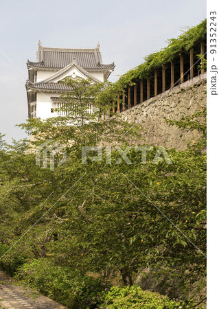 真夏の津山城 91352243