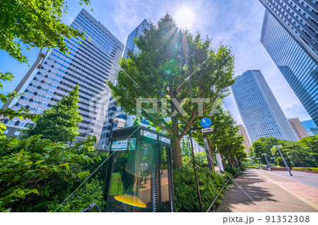 日本の東京都市景観　新宿副都心の街並み…電話ボックス…（左奥は工学院大学新宿キャンパス） 91352308