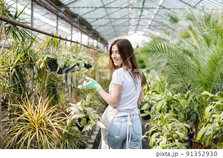 Woman gardener in apron caring potted plant in greenhouse surrounded by plants and pots. Home gardening, love of plants and care. Small business. Woman gardener in apron caring potted plant in greenhouse surrounded by plants and pots. Home gardening, love of plants and care. Small business. 91352930