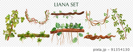 Vine Liana Transparent Set 91354130