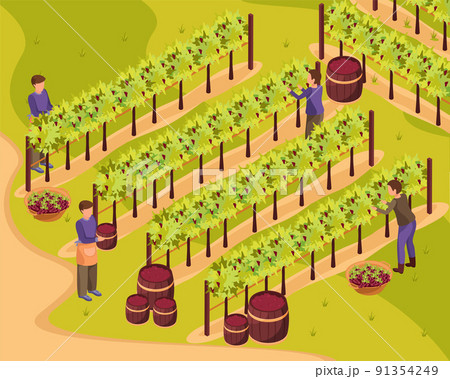 Wine Production Background Wine Production Background 91354249
