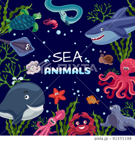 Sea Animals Funny Frame Sea Animals Funny Frame 91355198