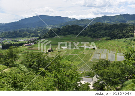 椹平の棚田 91357047