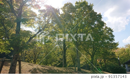 園部公園 木漏れ日の秋の美しい風景・京都府南丹市園部町 園部公園 木漏れ日の秋の美しい風景・京都府南丹市園部町 91357143