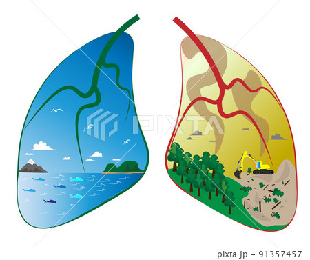 the lungs of ecology of our world. The lungs of our world personifies the planet earth, the ocean should be clean from garbage, also people kill forests around the world. We have to save our beautiful the lungs of ecology of our world. The lungs of our world personifies the planet earth, the ocean should be clean from garbage, also people kill forests around the world. We have to save our beautiful 91357457