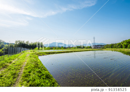 《岐阜県》恵那市　田園風景 91358525