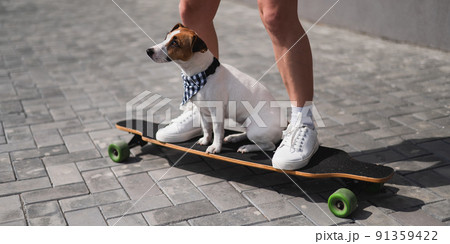 Caucasian woman riding a longboard along with dog jack russell terrier. Caucasian woman riding a longboard along with dog jack russell terrier. 91359422
