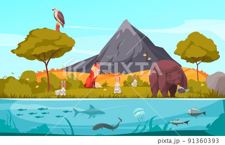 Biological Hierarchy Cartoon Background 91360393