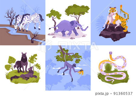 Rainforest Animals Design Concept Rainforest Animals Design Concept 91360537