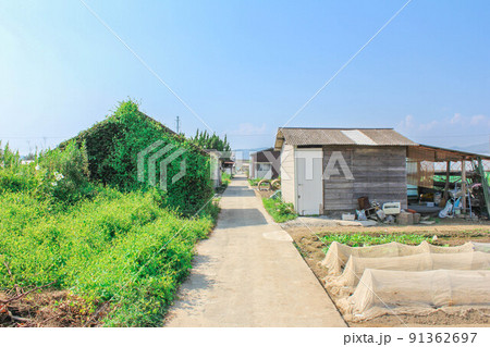 のんびりとした田舎の風情「農道」 91362697