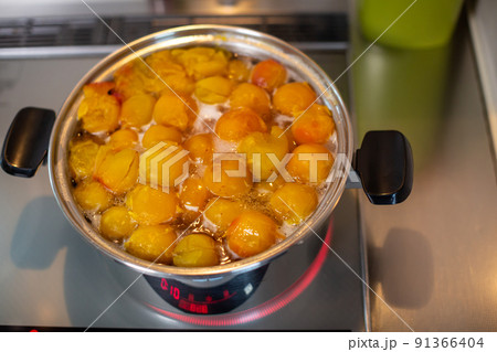 南高梅 梅 南高梅 梅 91366404