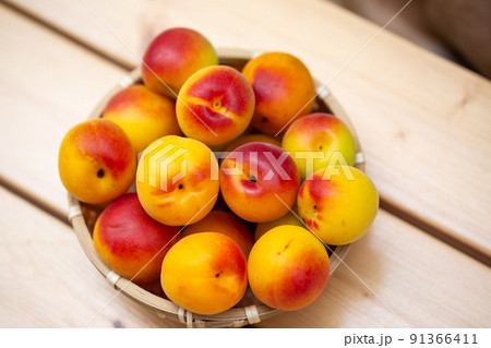 南高梅　梅 91366411