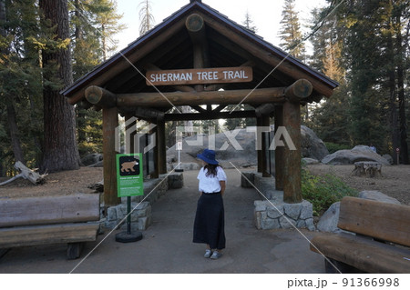 カリフォルニア州 セコイア国立公園 トレイルコース入口での一コマ カリフォルニア州 セコイア国立公園 トレイルコース入口での一コマ 91366998