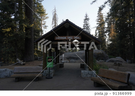 カリフォルニア州　セコイア国立公園　シャーマン将軍の木への入口 91366999
