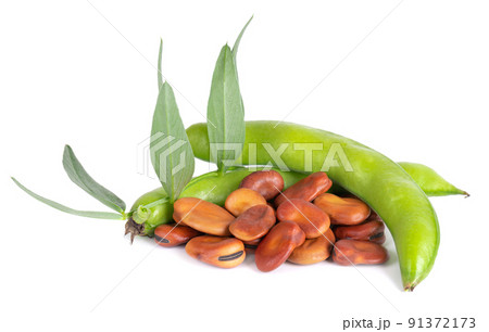 Fresh broad beans in pods with green leaf, isolated on white background. Dry fava beans. Fresh broad beans in pods with green leaf, isolated on white background. Dry fava beans. 91372173