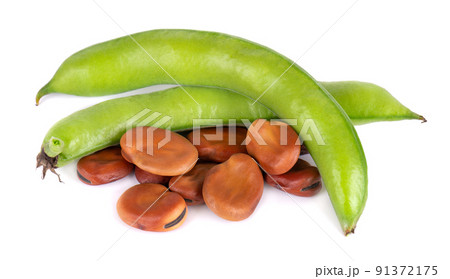 Fresh broad beans in pods, isolated on white background. Dry fava beans. 91372175