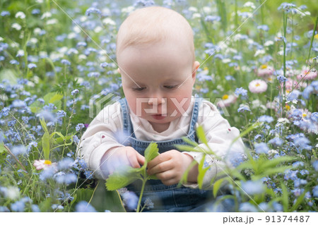 Little child having fun and exploring nature. Cheerful baby girl in flowers meadow. Little child having fun and exploring nature. Cheerful baby girl in flowers meadow. 91374487