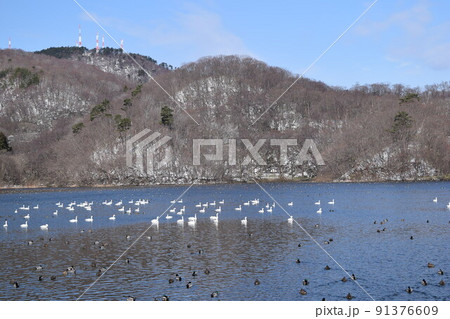 大山上池・下池 ラムサール条約登録地 91376609