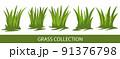 Green grass collection 91376798