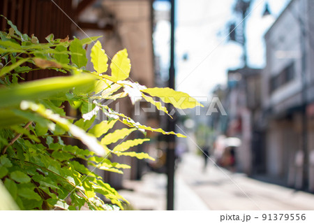 谷中銀座／東京都台東区 91379556