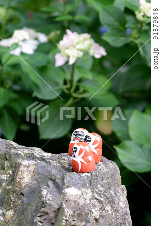 大阪箕面勝尾寺のだるまとあじさい 大阪箕面勝尾寺のだるまとあじさい 91379848