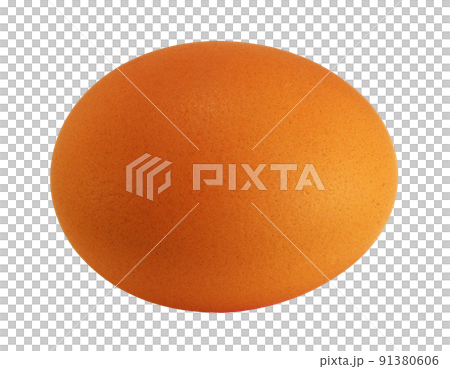 egg egg 91380606
