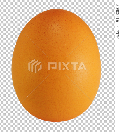 egg egg 91380607