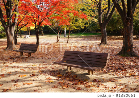 晩秋 赤色 屋外 91380661