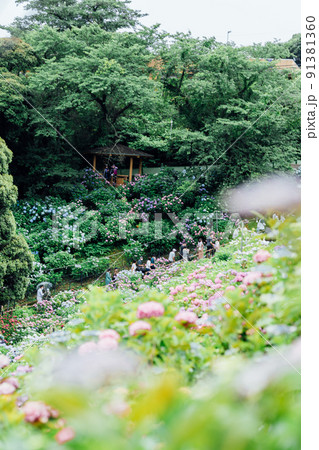 形原温泉　あじさいの里 91381360