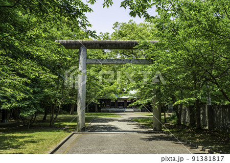 乃木神社 鳥居 香川県善通寺市 乃木神社 鳥居 香川県善通寺市 91381817