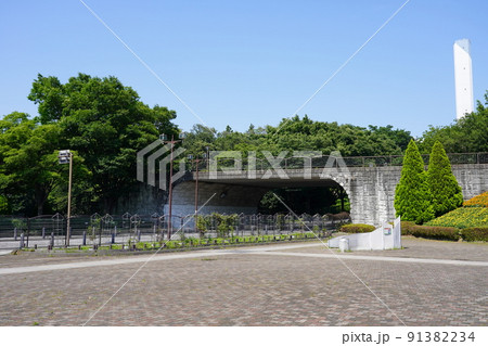 神奈川県立相模原公園 リリちゃん橋 91382234