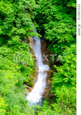新緑の蛇淵の瀧(スローシャッター) 新緑の蛇淵の瀧(スローシャッター) 91382432