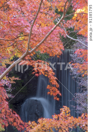 秋の滝、紅葉から垣間見る風景-2 秋の滝、紅葉から垣間見る風景-2 91385795