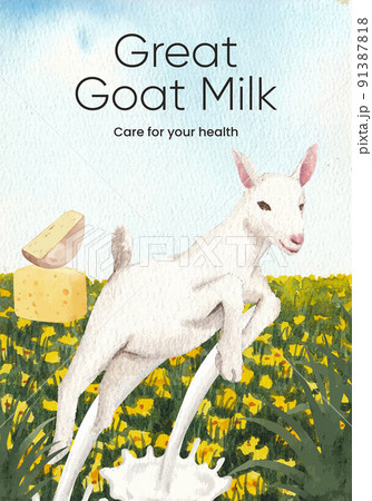 Poster template with goat milk and cheese farm concept,watercolor style Poster template with goat milk and cheese farm concept,watercolor style 91387818