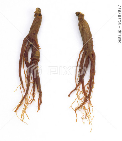 紅参 高麗人参 漢方薬 91387937