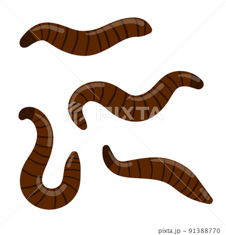 Leech. Set of bloodsucking insect 91388770