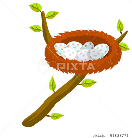 Nest and egg. Bird house. Place for Chicks. Tree branch with leaves 91388771
