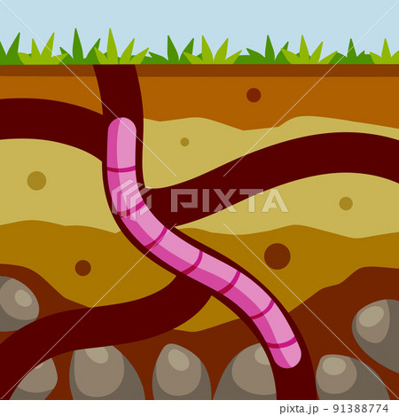 Worm in the ground. Burrows and passages Worm in the ground. Burrows and passages 91388774