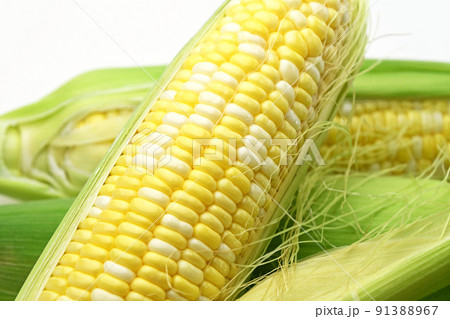 とうもろこし(ドルチェドリーム) とうもろこし(ドルチェドリーム) 91388967