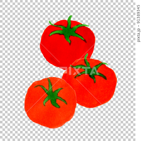 トマトのイラスト 夏野菜のシンプルな和風の手描きイラストのイラスト素材