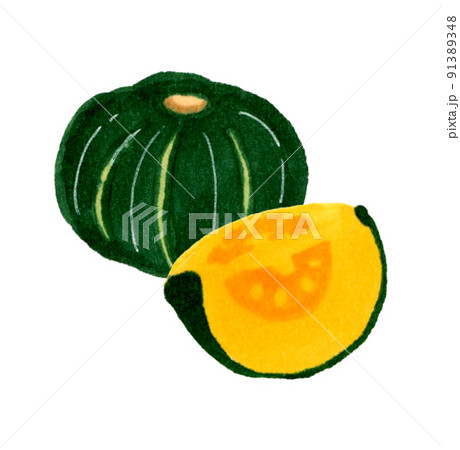 カボチャのイラスト 夏野菜のシンプルな和風の手描きイラストの