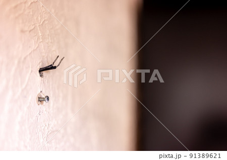 Selective focus on hole in a residential wall with two wires sticking out for surround sound speakers. 91389621