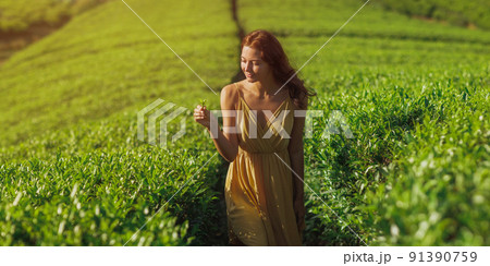 Traveler Woman With Tea Leaf in Hand During Her Travel to Famous Nature Landmark Tea Plantations  91390759