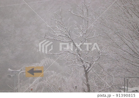 白銀の世界　雪景色　矢印　自然災害 91390815