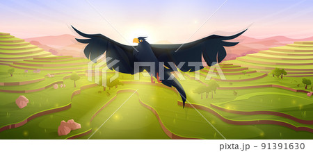 Cartoon black eagle bird flying over rice terraces 91391630
